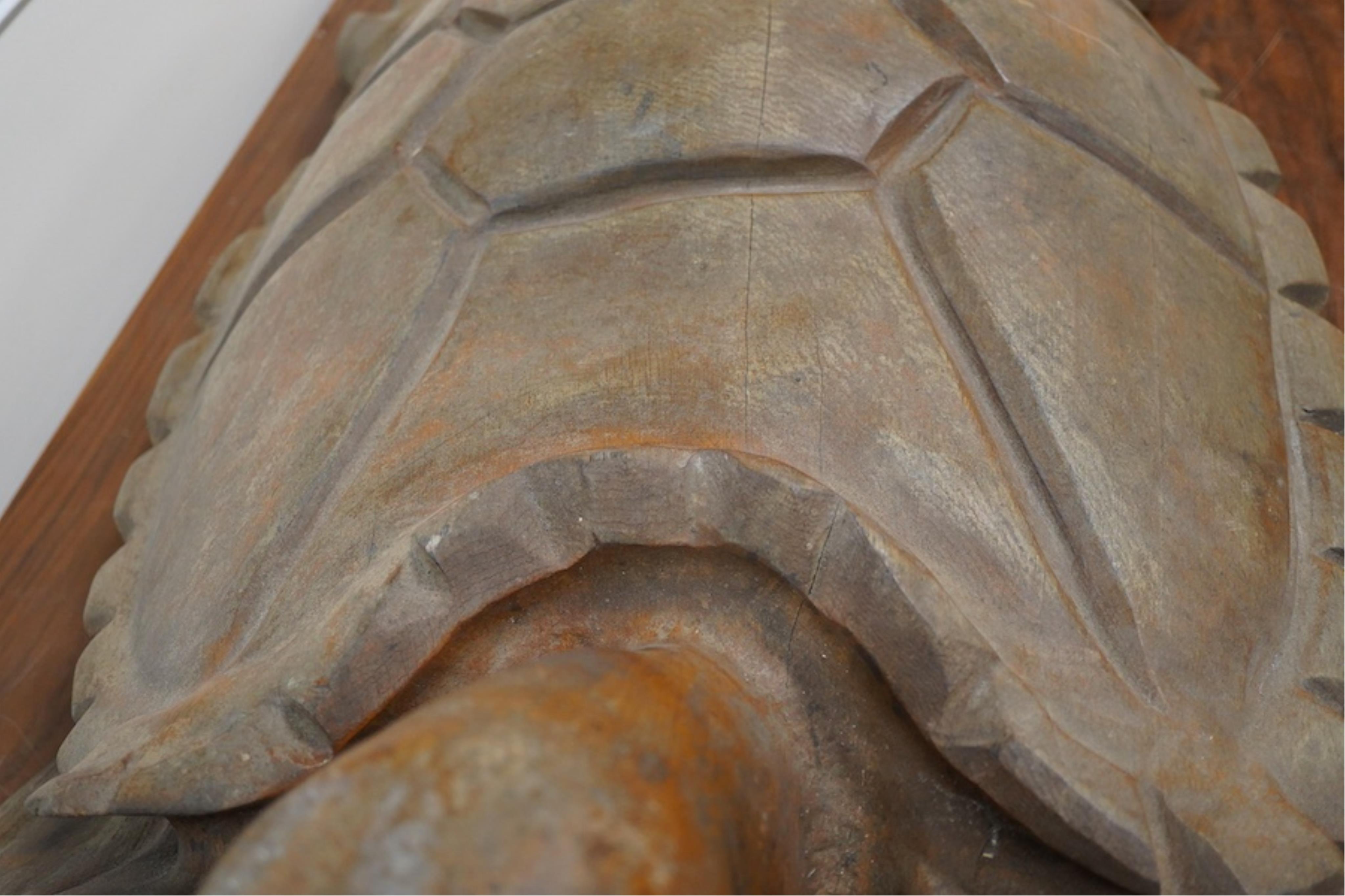 A large novelty carved weathered teak model of a green turtle
